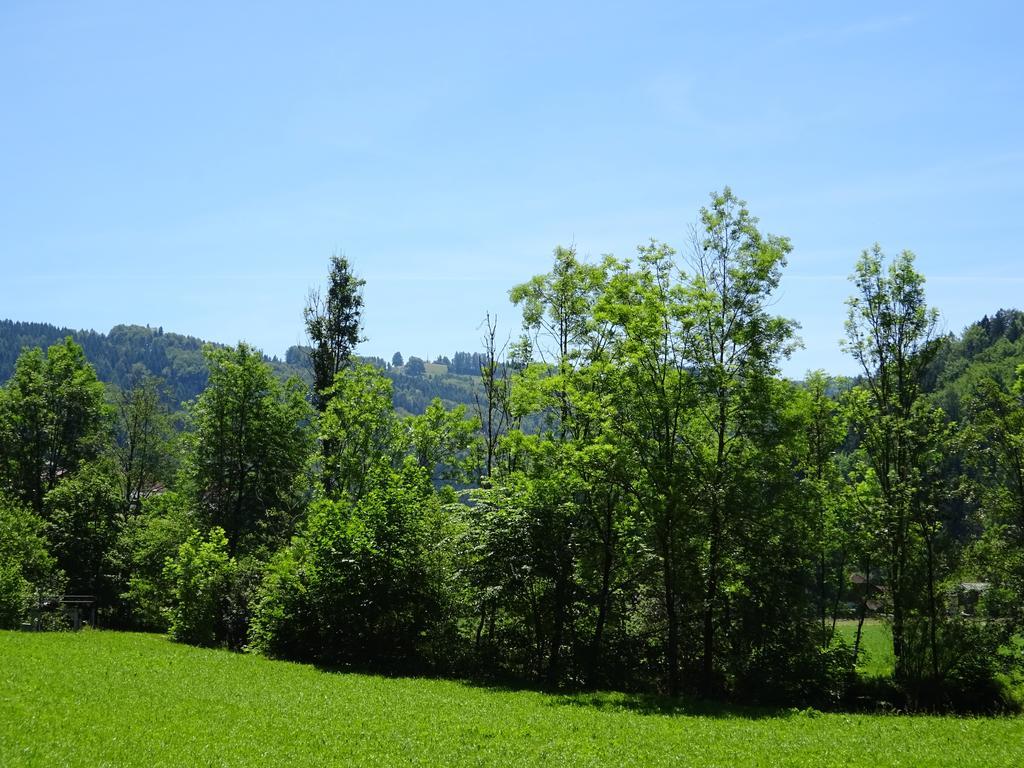 Haus Im Gruenen - Gmundennaehe Pinsdorf 외부 사진