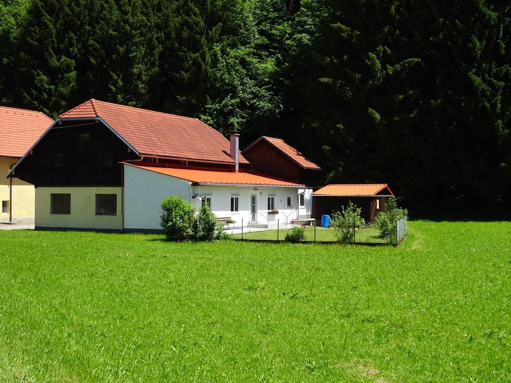 Haus Im Gruenen - Gmundennaehe Pinsdorf 외부 사진